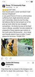 Lost Male Dog last seen FM 1849 / CR151 / CR 152, Bangs, TX 76823