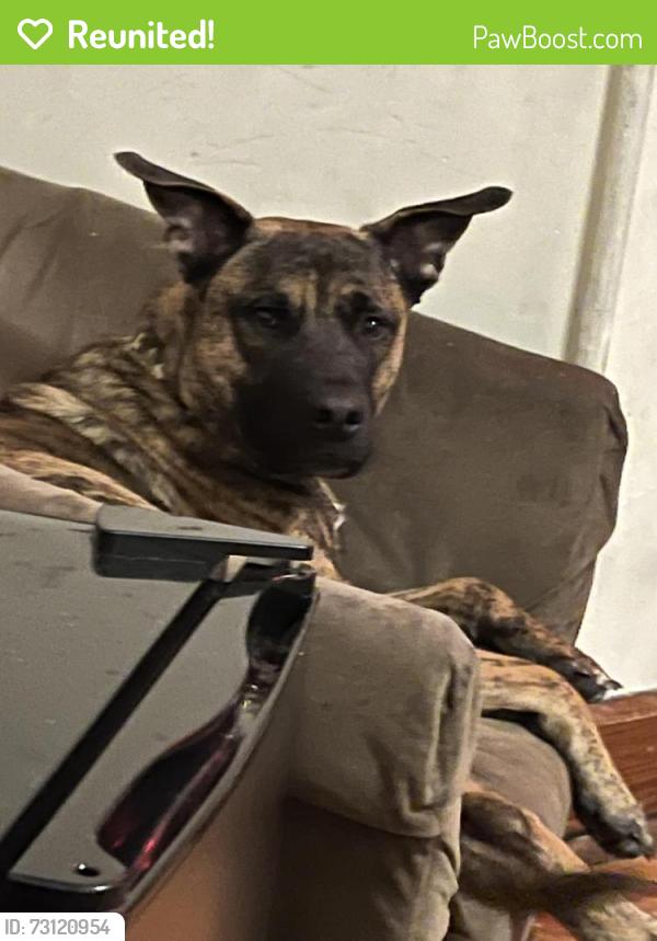 Reunited Male Dog last seen Between jefferson blvd and Greenhill dr, Hagerstown, MD 21742