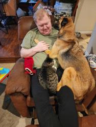 Lost Female Dog last seen Stage Coach and Saline Creek, in Gresham, Tyler, TX 75703