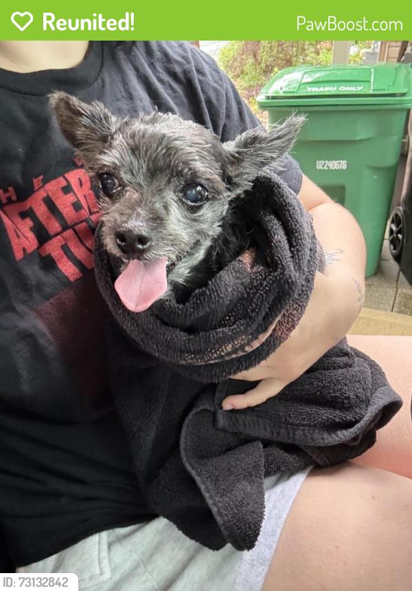 Reunited Male Dog last seen Lowell Ave and Wilkinson Blvd, Gastonia, NC 28056