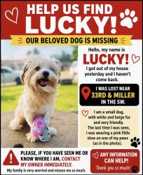 Reunited Female Dog last seen Near sw 33rd Oklahoma city 73119, Oklahoma City, OK 73119