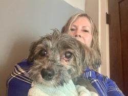 Reunited Female Dog last seen Near victoria Mn, Victoria, MN 55386