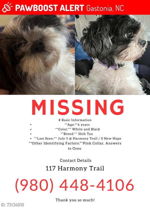 Lost Female Dog last seen South new hope, Gastonia, NC 28056