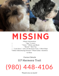 Lost Female Dog last seen South new hope, Gastonia, NC 28056
