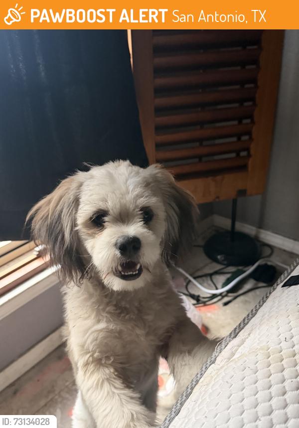 Found/Stray Male Dog last seen Near grissom circle, San Antonio, TX 78251