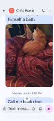 Lost Male Cat last seen Kingston Adelphi Rd and 159, Kingston, OH 45601