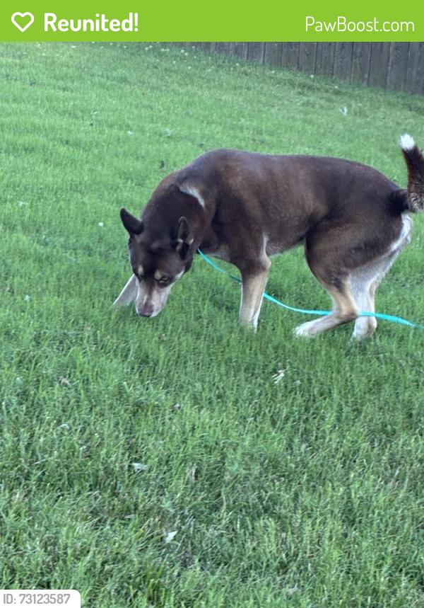 Reunited Unknown Dog last seen 95th and Kessler lane next to the car wash and Tom Jones Realty across the street. We have a Jimmy John’s and a car fix it Shop., Overland Park, KS 66212