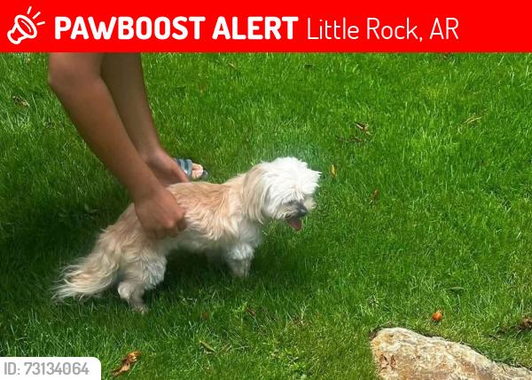 Lost Female Dog last seen Chenal Country Club - Bear Den, Little Rock, AR 72223