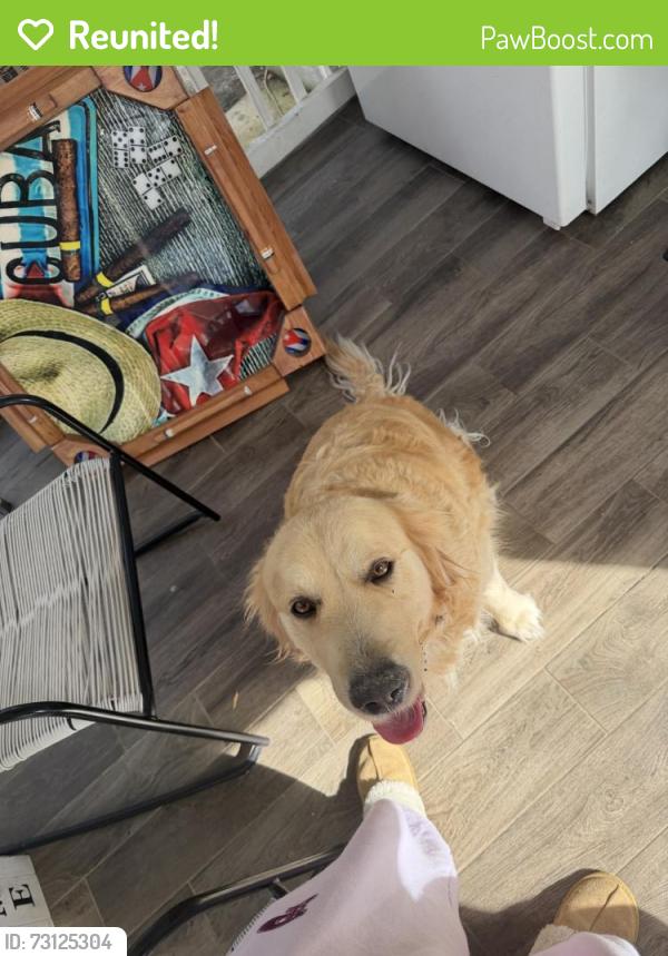 Reunited Female Dog last seen Near Old Faison Rd, Knightdale, NC 27545, USA, Knightdale, NC 27545