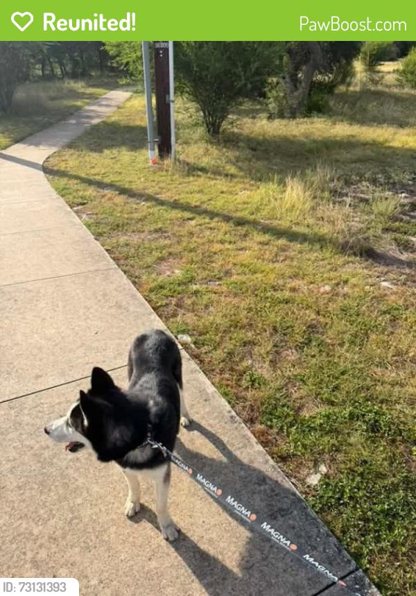 Reunited Male Dog last seen Bulverde Green and Hideaway Green (Bulverde Village neighborhood), San Antonio, TX 78261