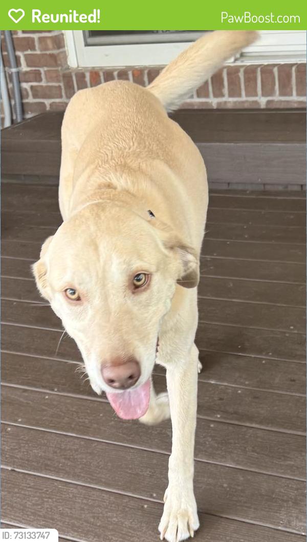 Reunited Male Dog last seen Carroll Rd, Entrance to Geist Woods ests neighborhood, McCordsville, IN 46055