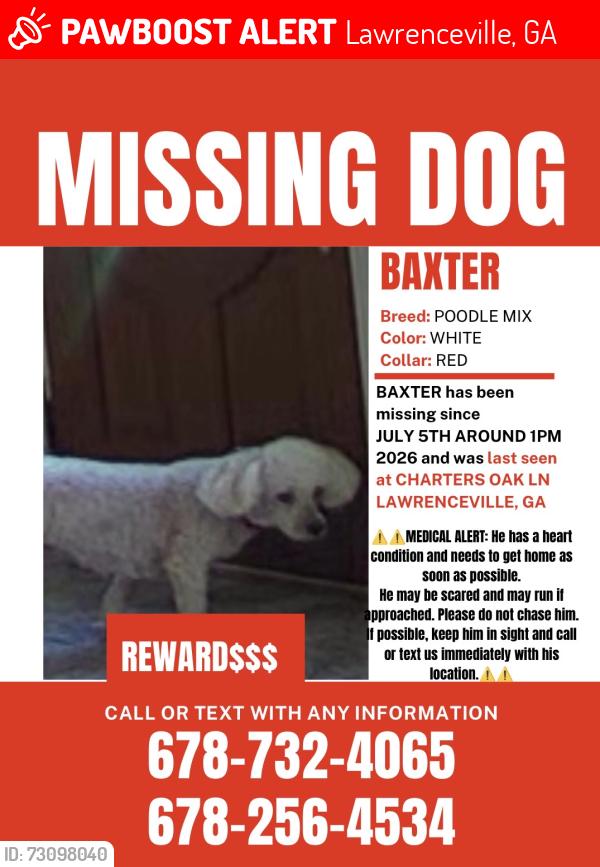 Lost Male Dog last seen Monfort way, Lawrenceville, GA 30046