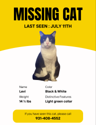 Reunited Male Cat last seen Marymont Springs - Fairhaven Lane, Murfreesboro, TN 37128