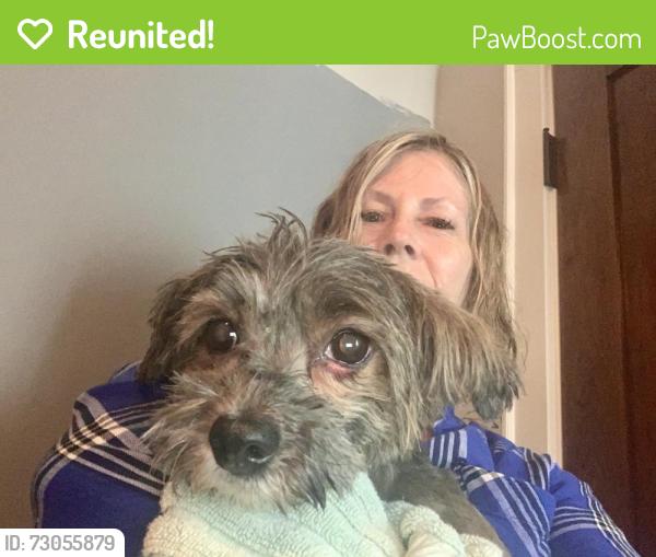 Reunited Female Dog last seen Near victoria Mn, Victoria, MN 55386