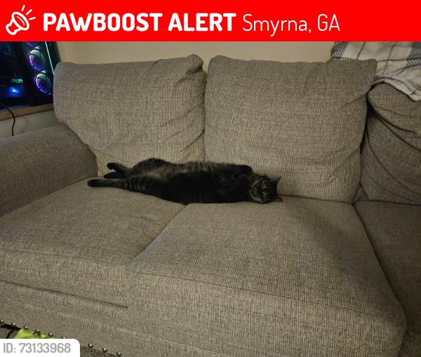 Lost Male Cat last seen Near Dan place se, Smyrna, GA 30082