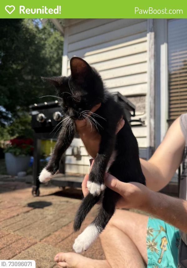 Reunited Unknown Cat last seen Near Bridlington rd, Kernersville, NC 27284