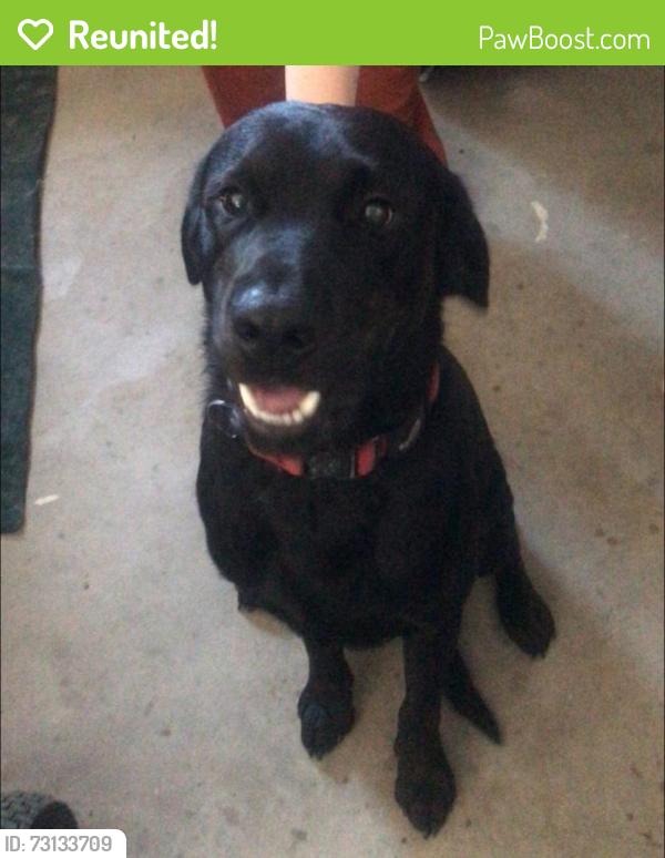 Reunited Male Dog last seen Everett Rd and 29th, Pueblo, CO 81006