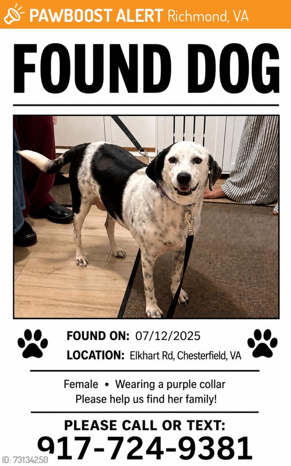 Found/Stray Female Dog last seen Elkhart rd, Richmond, VA 23235