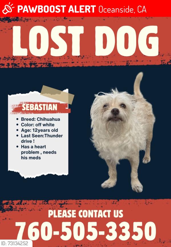 Lost Male Dog last seen boomers vista, Oceanside, CA 92056