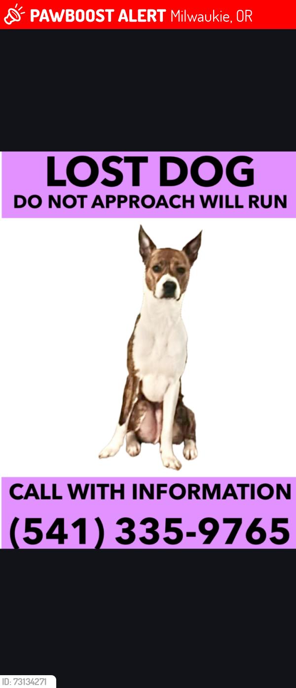 Lost Male Dog last seen Railroad ave, clackmas community collage/ 711 on linwood ave, Milwaukie, OR 97222