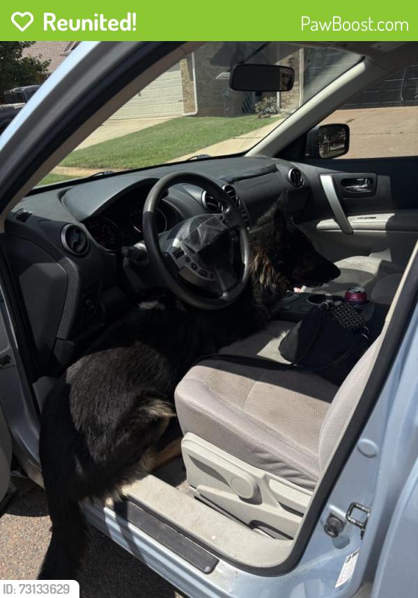 Reunited Male Dog last seen Piedra Dr, Oklahoma City, OK 73012, USA, Oklahoma City, OK 73012