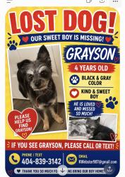 Lost Male Dog last seen Old Atlanta Road and Woodhaven drive, Stockbridge, GA 30281