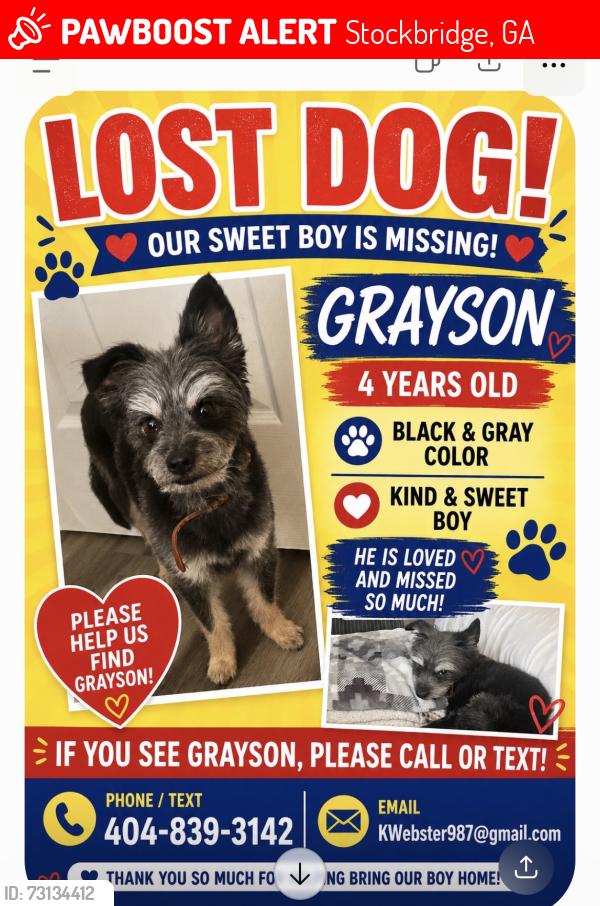 Lost Male Dog last seen Old Atlanta Road and Woodhaven drive, Stockbridge, GA 30281