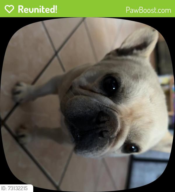 Reunited Male Dog last seen Martin Luther King, Sacramento, CA 95824