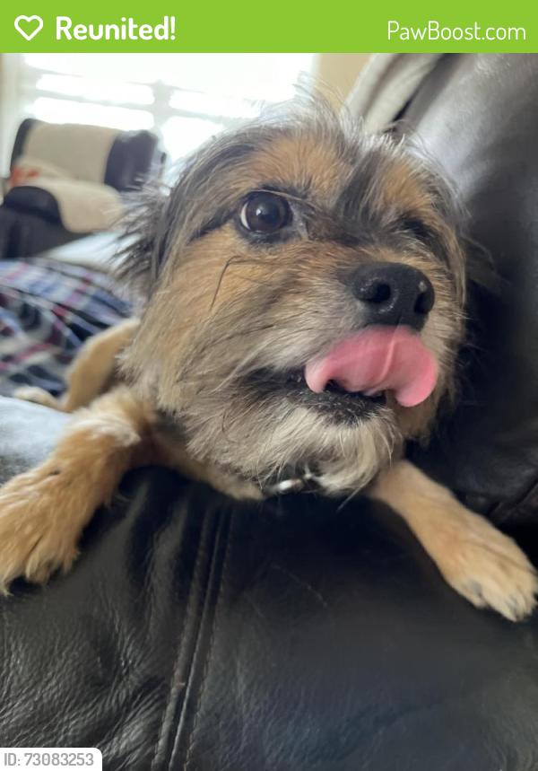 Reunited Female Dog last seen Near, San Antonio, TX 78245