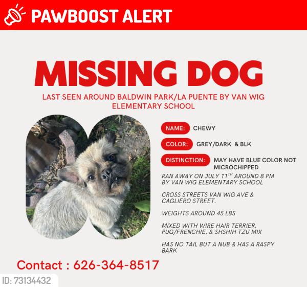 Lost Male Dog last seen Van wig avenue & Caglerio street, West Puente Valley, CA 91746
