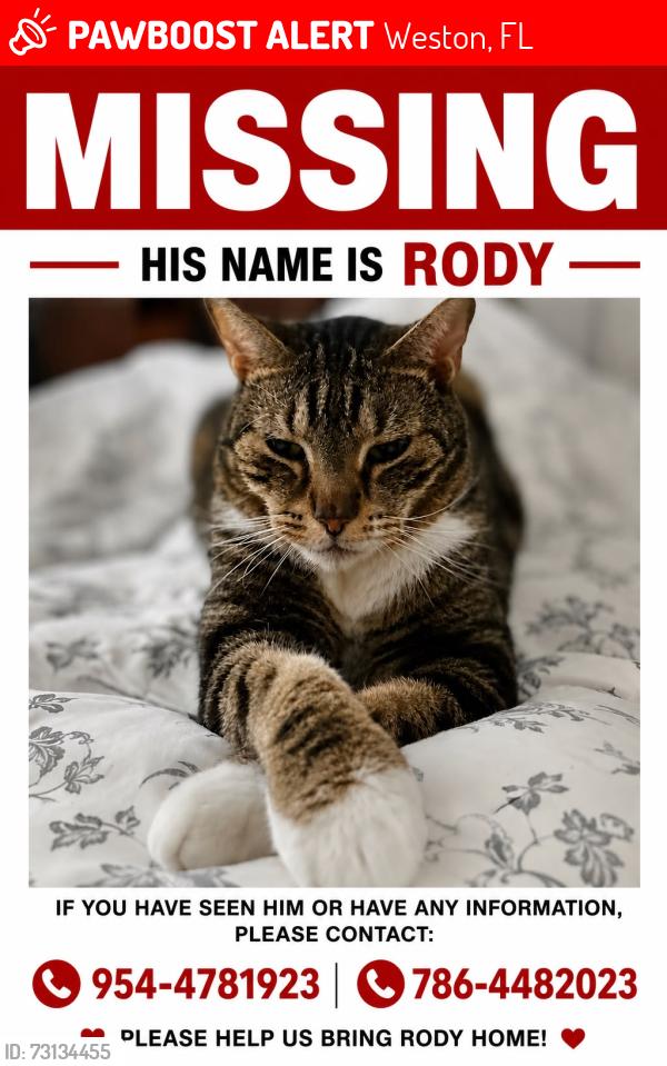 Lost Male Cat last seen Near Laguna Spring Weston Fo 33336, Weston, FL 33326