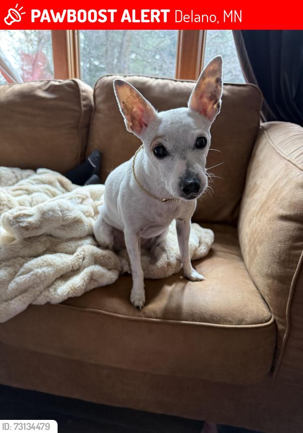 Lost Female Dog last seen Rockford twp, Delano, MN 55328