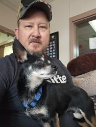 Reunited Male Dog last seen Turtle bend neighborhood, Killeen, TX 76542