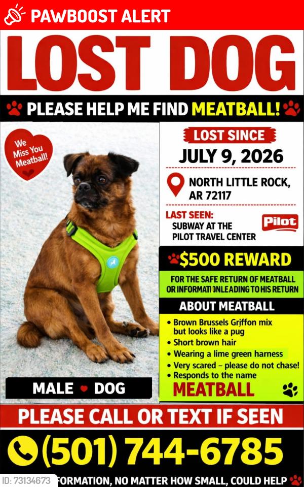 Lost Male Dog last seen Pilot Travel Center, North Little Rock, AR 72117