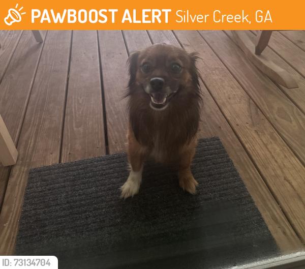 Found/Stray Female Dog last seen Old rockmart at reeseburg rd, Silver Creek, GA 30173