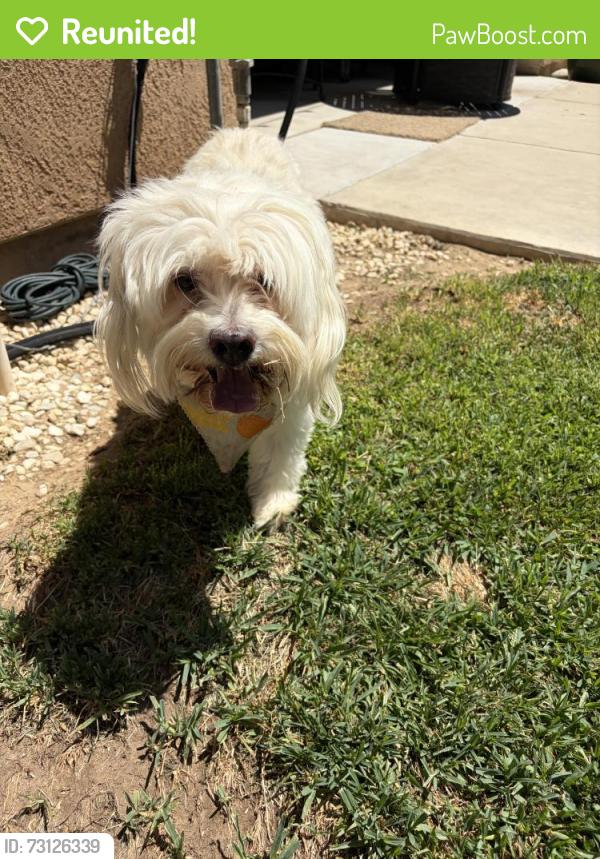 Reunited Unknown Dog last seen Clovis/California, Fresno, CA 93727