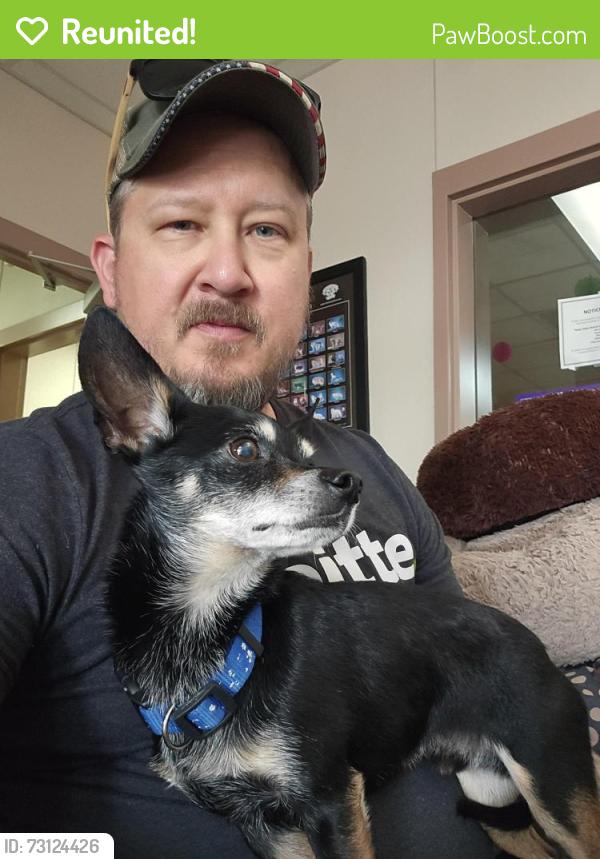 Reunited Male Dog last seen Turtle bend neighborhood, Killeen, TX 76542