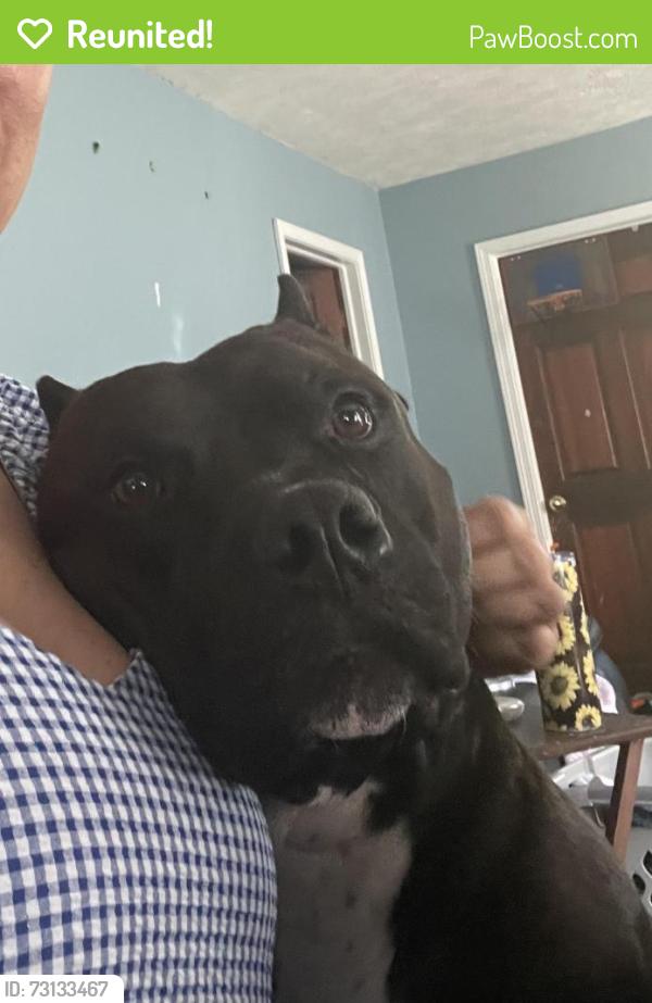 Reunited Male Dog last seen New York and Lake Lansing Road, Lansing, MI 48906