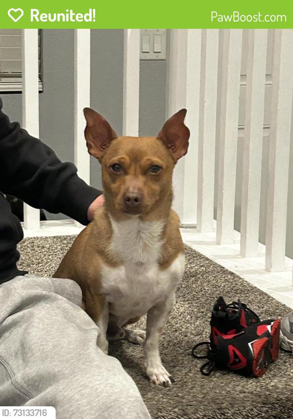 Reunited Male Dog last seen James K Seastrand Park, North Las Vegas, NV 89031