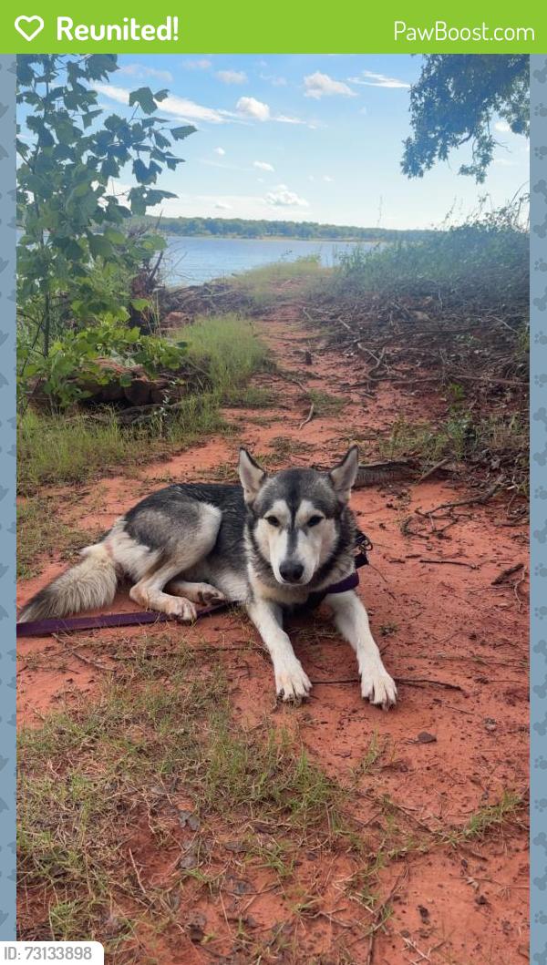 Reunited Male Dog last seen Choctaw & 29th St., Choctaw, OK 73020