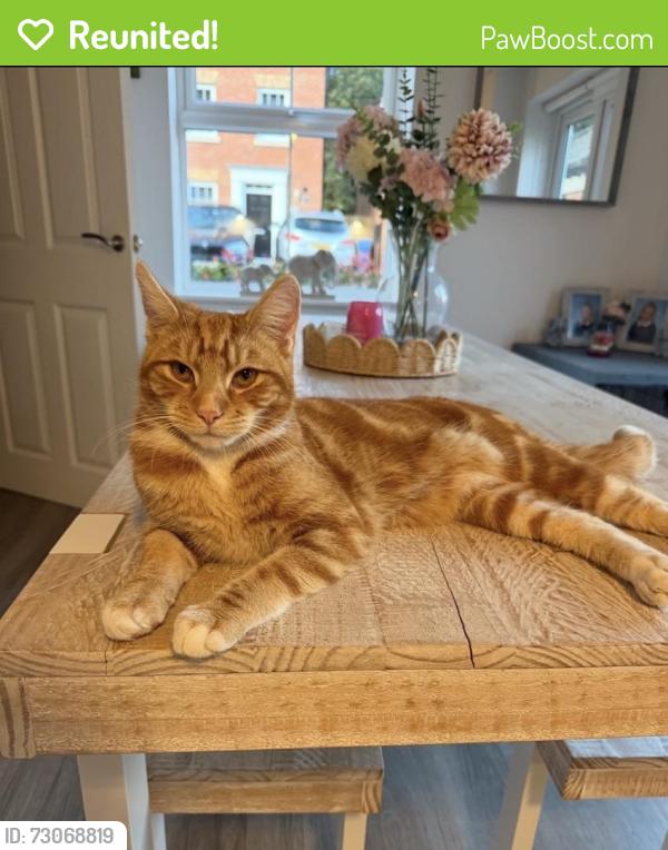 Reunited Male Cat last seen Oughtibridge valley, Oughtibridge, England 