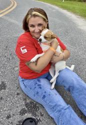 Reunited Female Dog last seen Veneer Dr. and Northwestern Ave., Altamonte Springs, FL 32714
