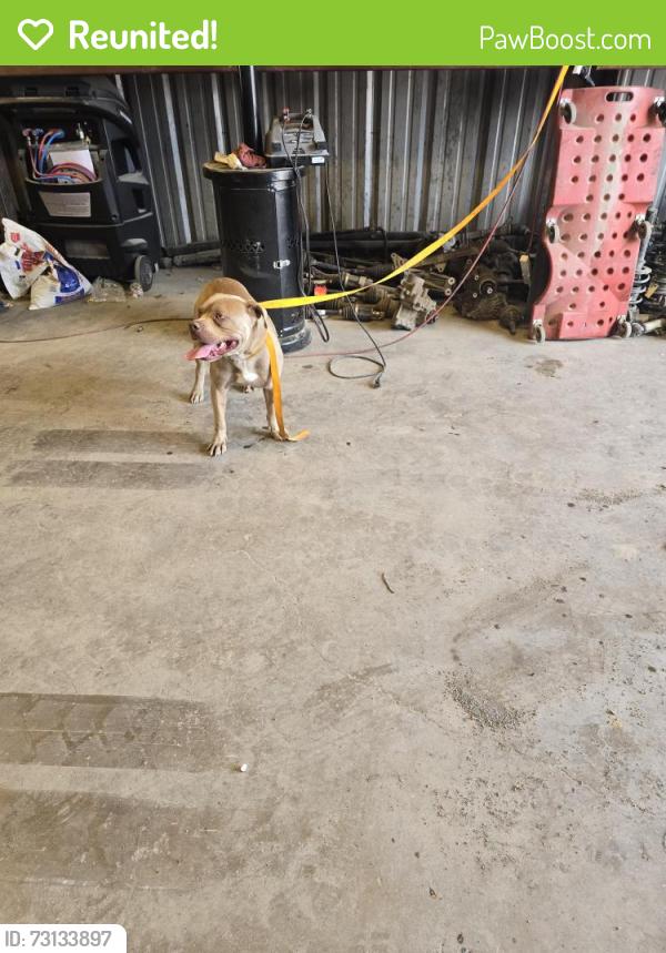 Reunited Male Dog last seen Blue Mound Rd W and 287, Haslet, TX 76052