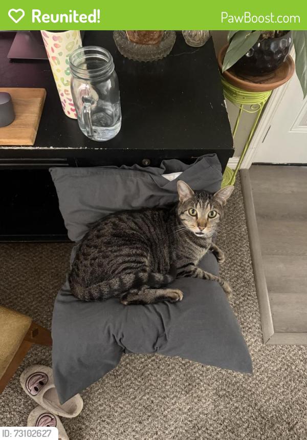 Reunited Male Cat last seen By Britton elementary, Oklahoma City, OK 73114