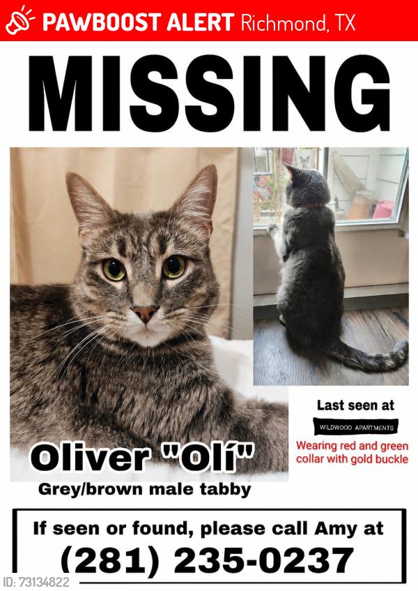 Lost Male Cat last seen Fm 762, fort bend library, veranda, Richmond, TX 77469