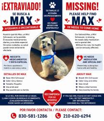 Reunited Male Dog last seen Heathers Place, Converse, TX 78152