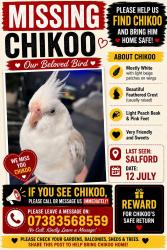 Lost Female Bird last seen Salford, Salford, England 