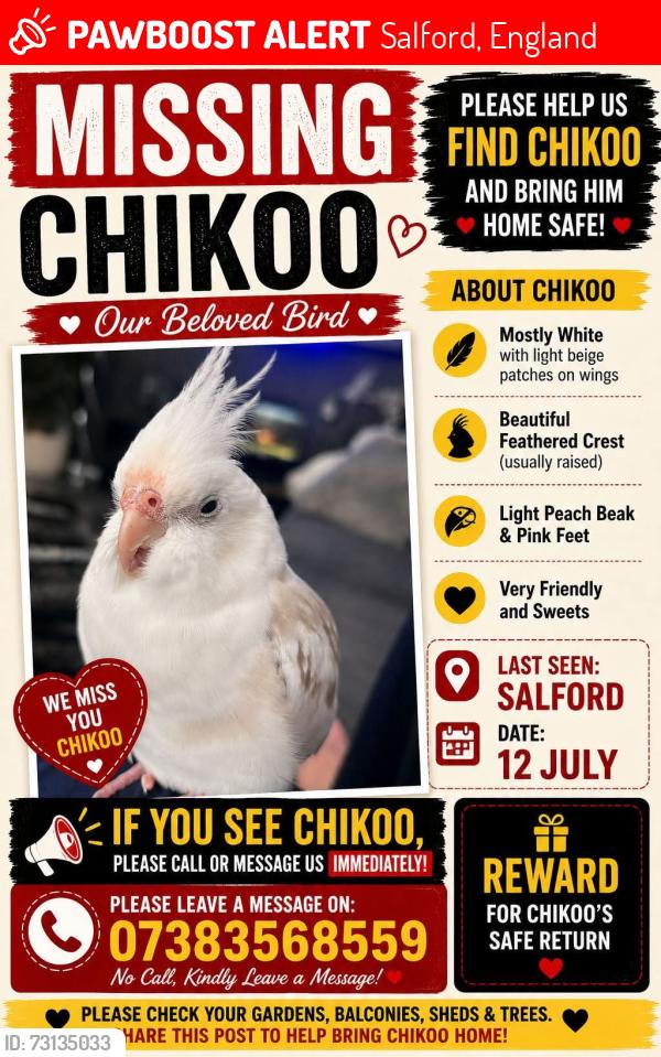 Lost Female Bird last seen Salford, Salford, England 