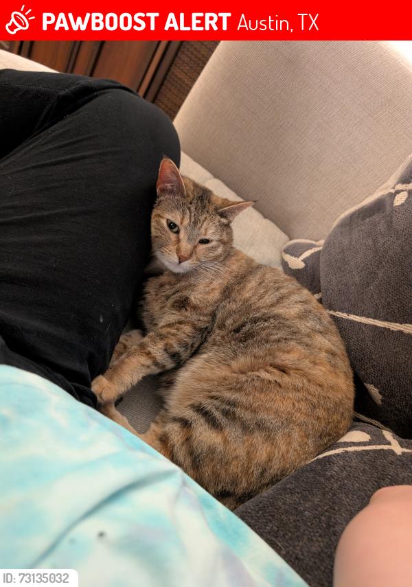 Lost Female Cat last seen Manor Rd and Rogge Ln, Austin, TX 78723