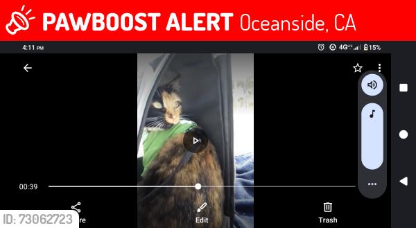 Lost Female Cat last seen North Coast village south gate entrance, Oceanside, CA 92054